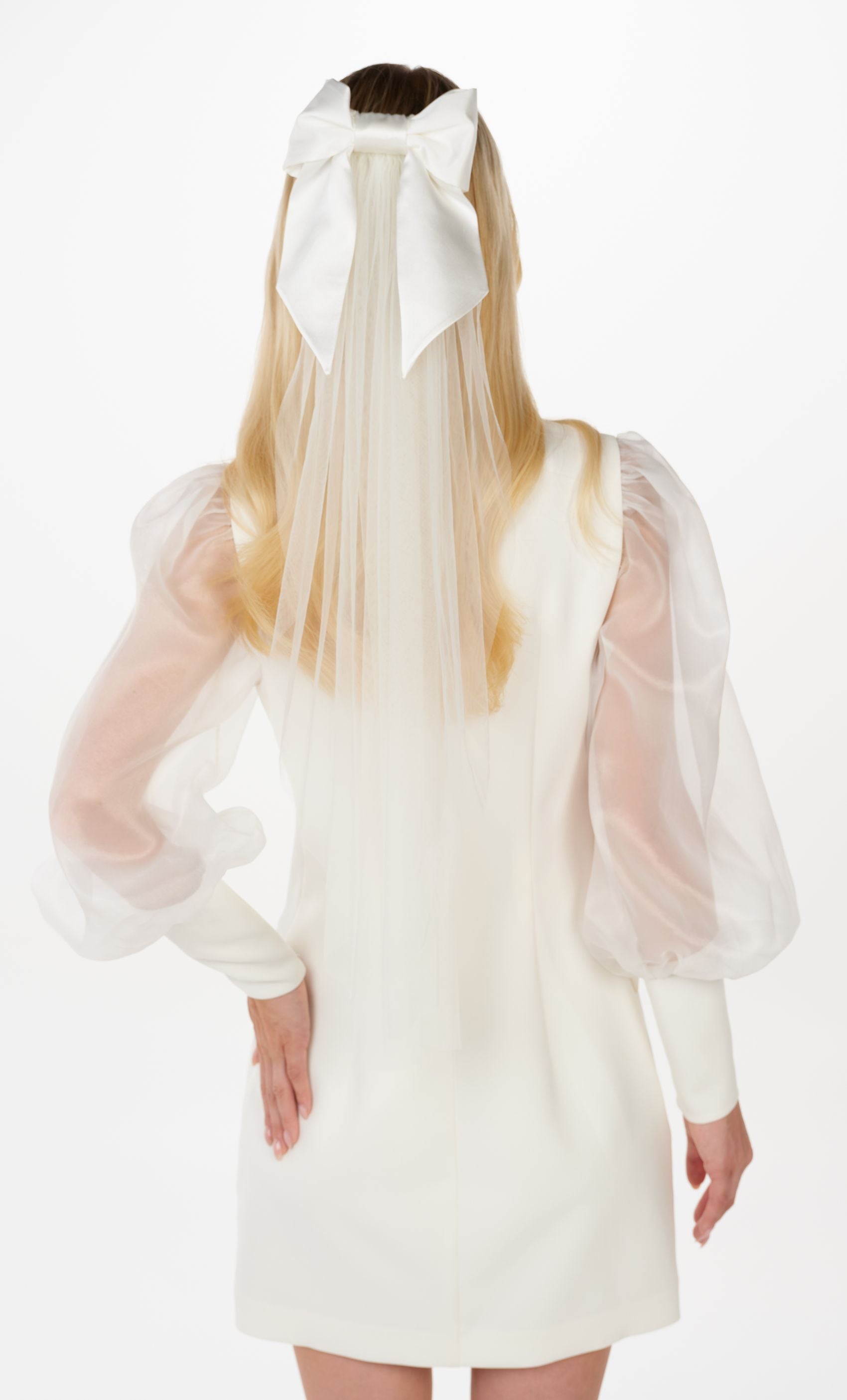 Eine Braut mit Seidenschleife und Schleier in offenen Haaren, hinteransicht